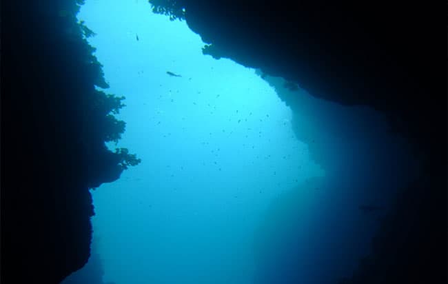 Discover diving in Hondoq Bay