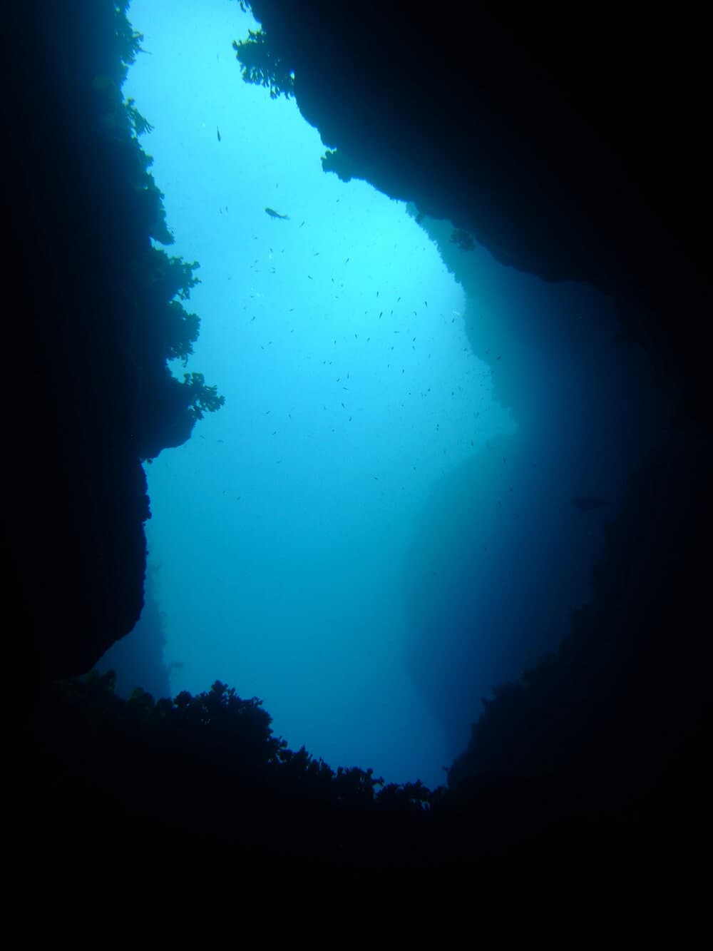 Freedive over the Crystal Lagoon